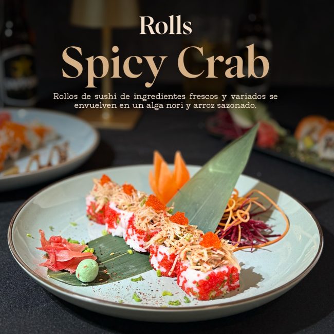 WhatsApp Image 2026-03-06 at 1.41.55 PM (1)